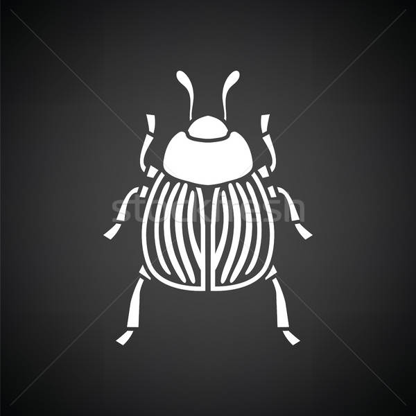 Colorado beetle icon Stock photo © angelp