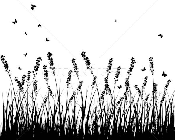 meadow silhouettes Stock photo © angelp