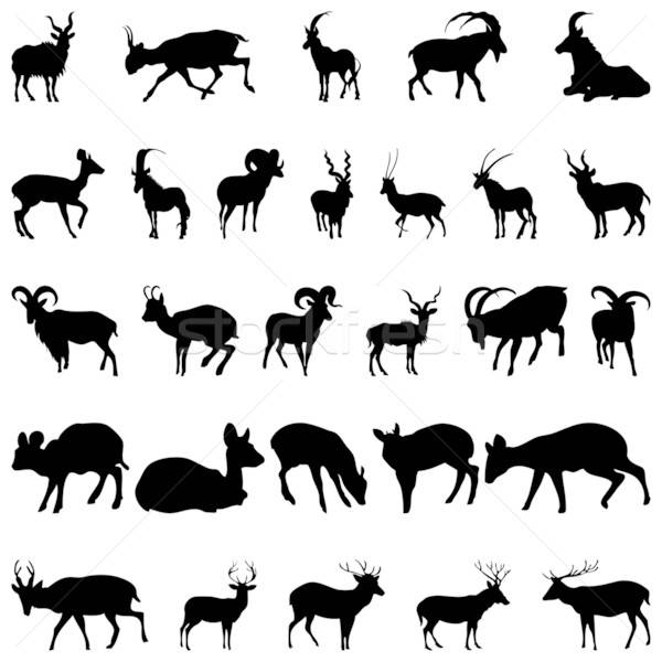 deer and goats silhouettes set Stock photo © angelp