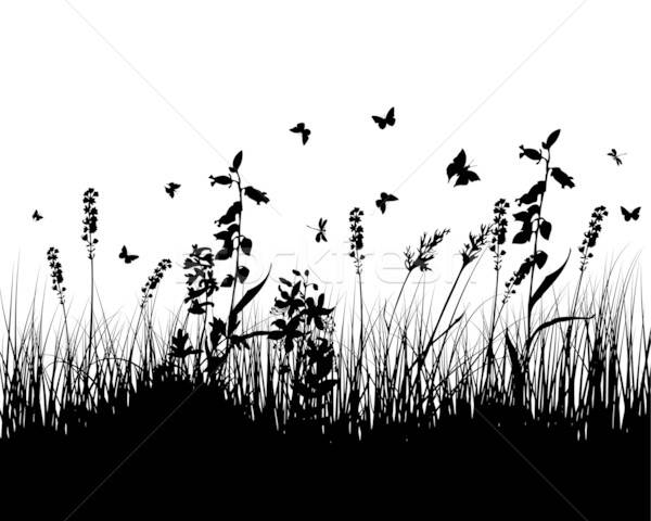 meadow silhouettes Stock photo © angelp