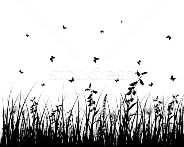 łące sylwetki wektora trawy obiektów Zdjęcia stock © angelp
