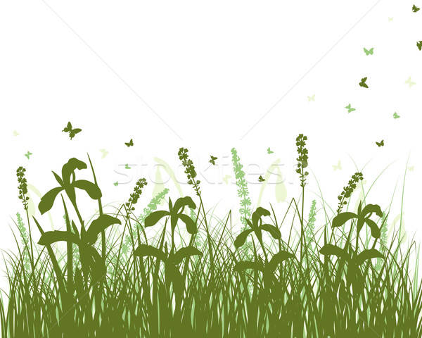 草地 剪影 向量 草 對象 商業照片 © angelp
