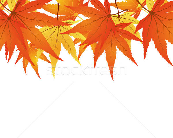 twisted leaves Stock photo © angelp