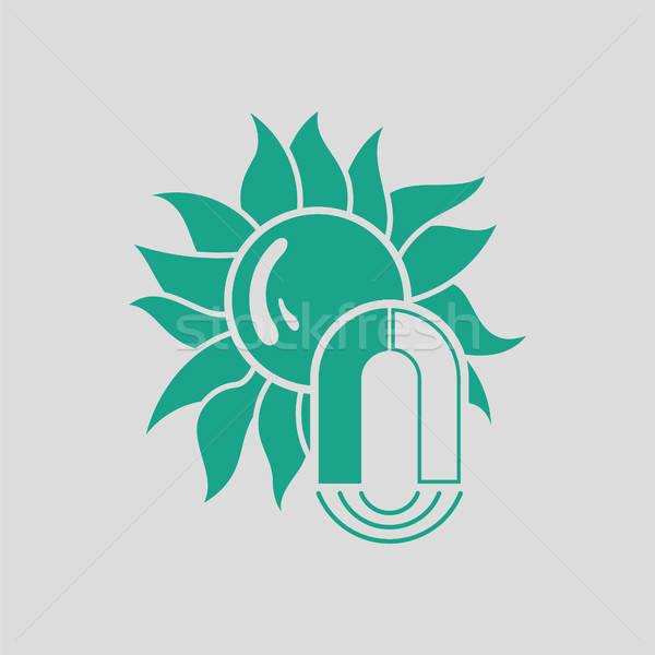Magnetyczny burzy ikona szary zielone szczęśliwy Zdjęcia stock © angelp