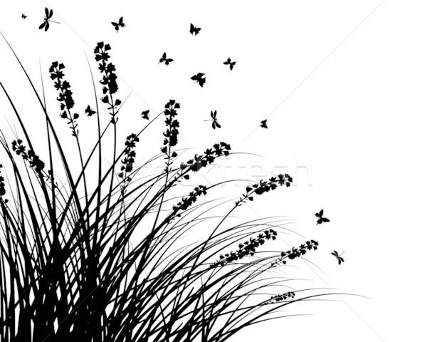 meadow silhouettes Stock photo © angelp