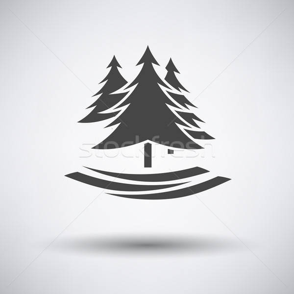 Fir forest  icon Stock photo © angelp
