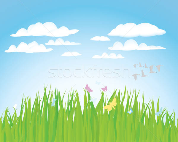 Sommer Landschaft Gras Design Blumen Wald Stock foto © angelp