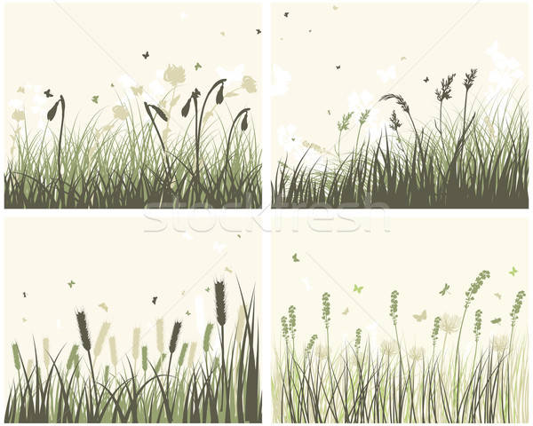 4 Meadow Backgrounds Stock photo © angelp