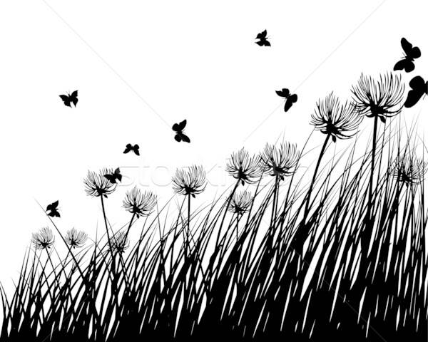 meadow silhouettes Stock photo © angelp