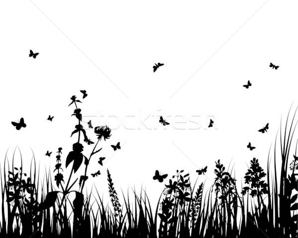 meadows plant  silhouette Stock photo © angelp