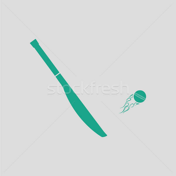 Cricket bat icon Stock photo © angelp