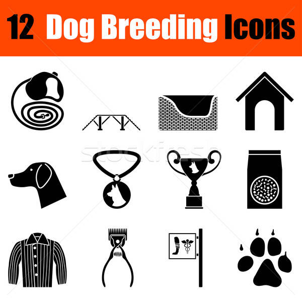 Set of dog breeding icons Stock photo © angelp