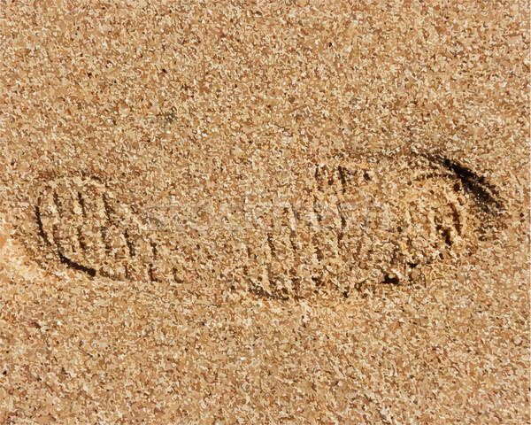 Sand texture with footprint Stock photo © angelp