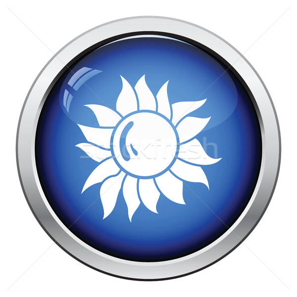 Sun icon Stock photo © angelp
