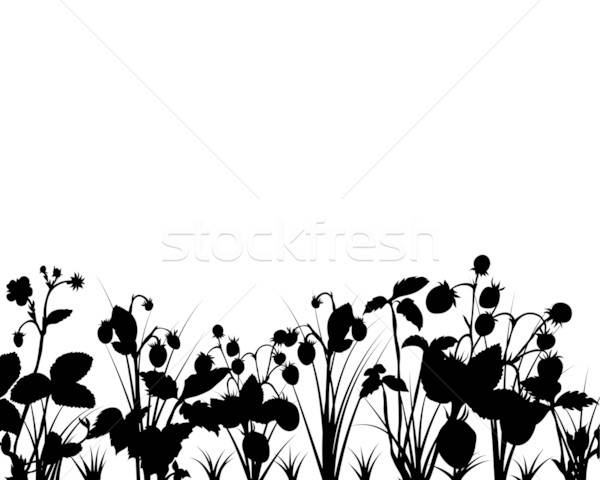 [[stock_photo]]: Fraises · vecteur · silhouettes · herbe · fleur