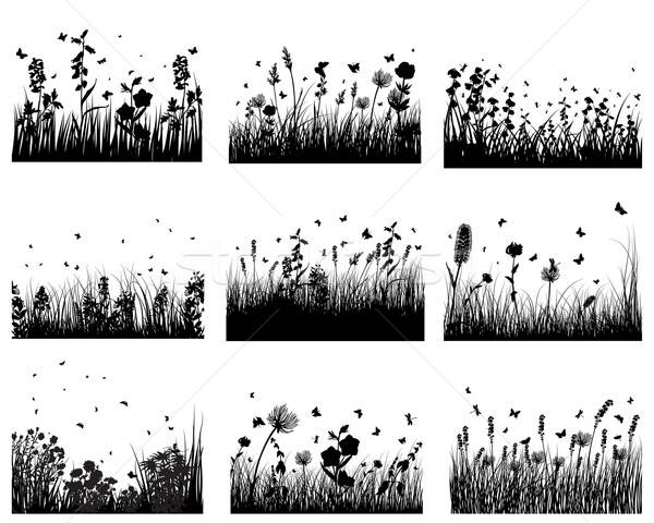 meadow silhouettes Stock photo © angelp