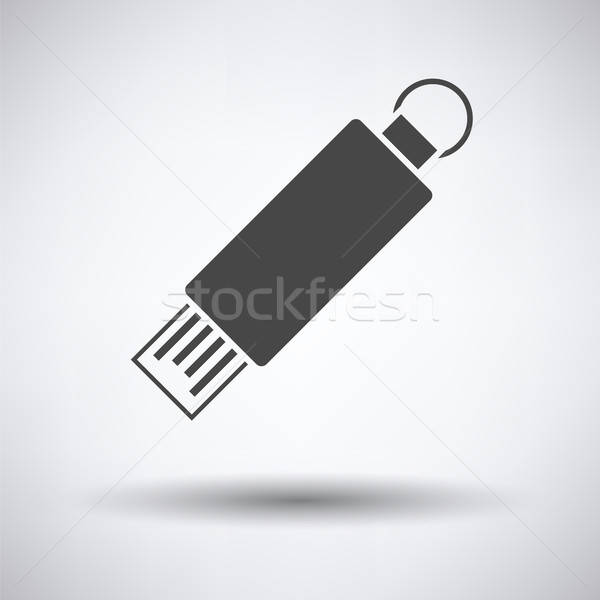 USB flash icon Stock photo © angelp