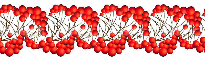 Rowan Berries Seamless Border Stock photo © angelp