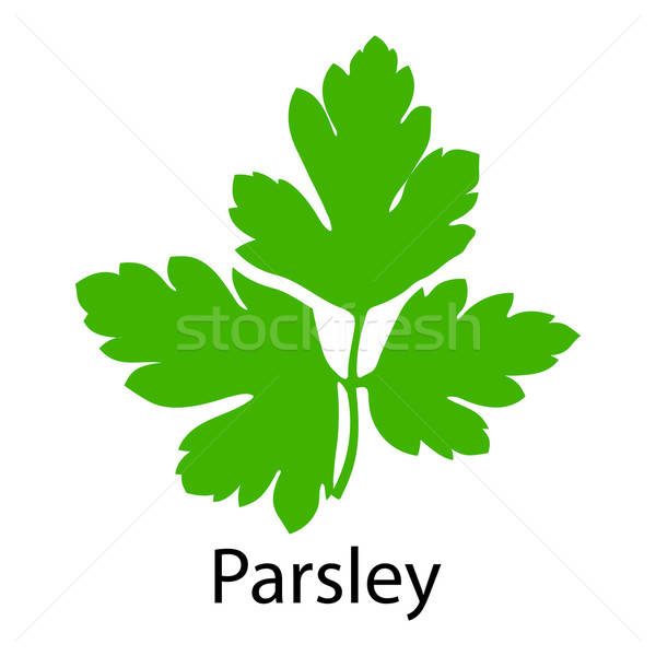 Parsley icon Stock photo © angelp
