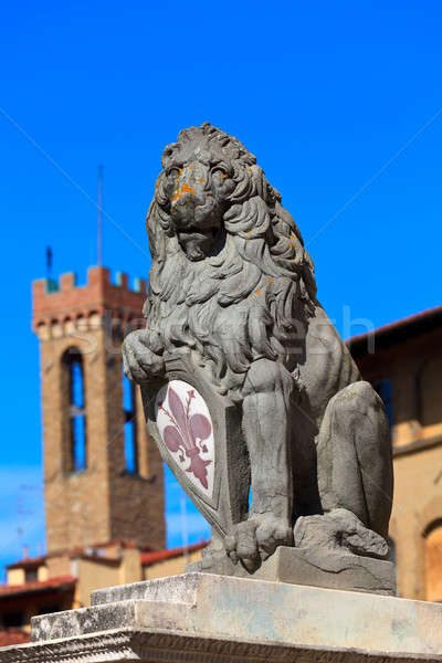 Heraldic lion Stock photo © angelp