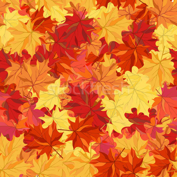 Herbst Ahorn Blätter Muster abstrakten Stock foto © angelp