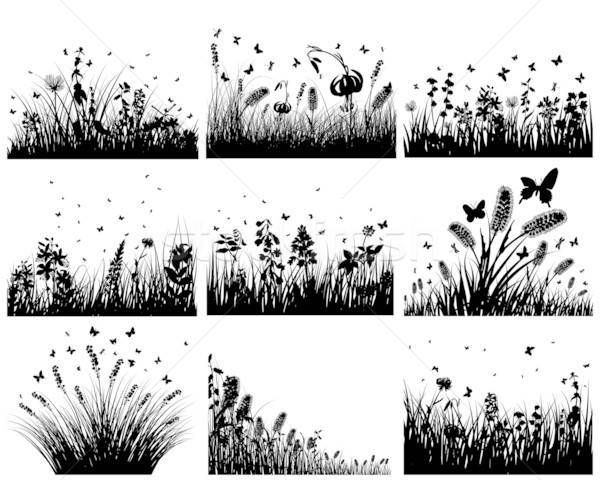 meadow silhouettes Stock photo © angelp