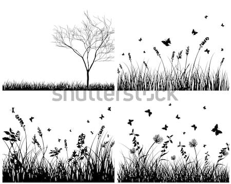 Set prato sfondi undici design farfalle Foto d'archivio © angelp