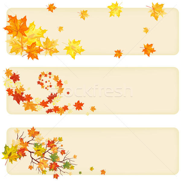 Herbst Ahorn Baum Blätter Papier Banner Stock foto © angelp