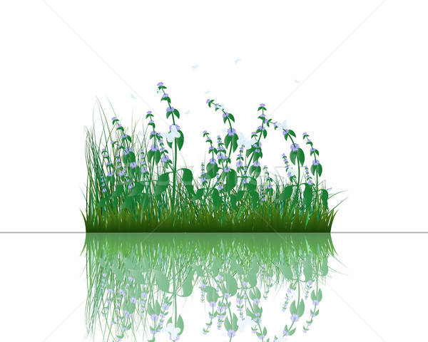 Gras Wasser Vektor Silhouetten Reflexion alle Stock foto © angelp
