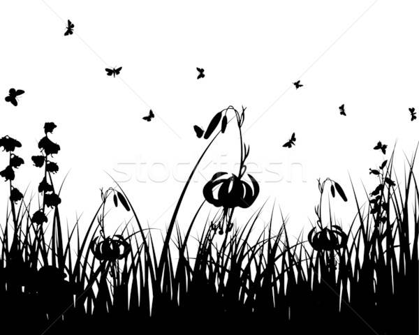 meadow silhouettes Stock photo © angelp