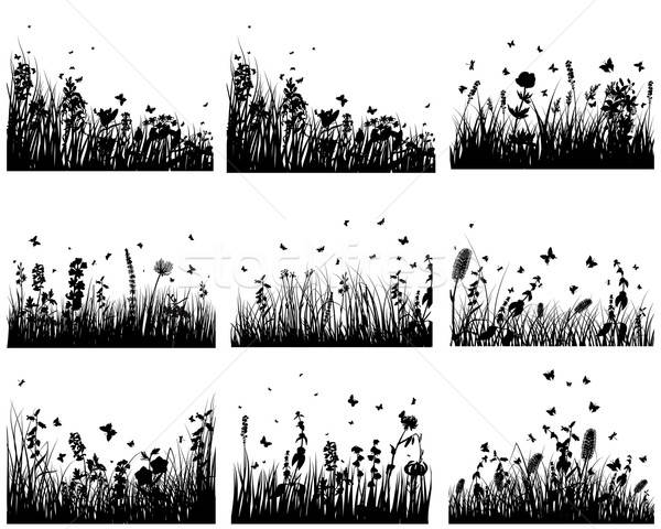 meadow silhouettes Stock photo © angelp