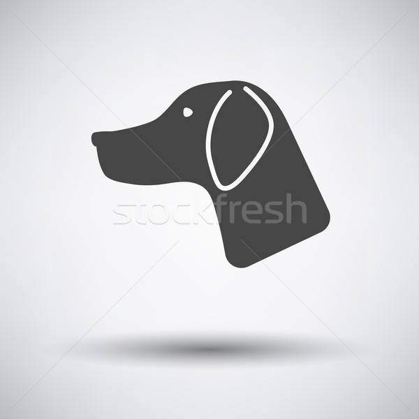 Jagdhund Symbol grau Augen abstrakten Hintergrund Stock foto © angelp