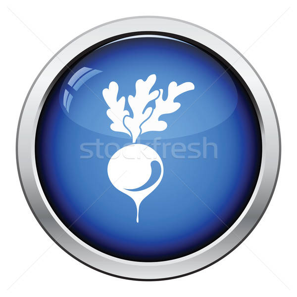 Radijs icon glanzend knop ontwerp tuin Stockfoto © angelp