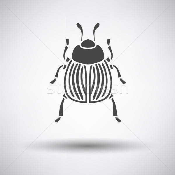 Colorado beetle icon Stock photo © angelp