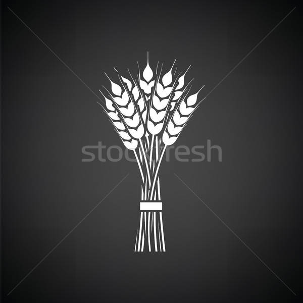 Stock photo: Wheat icon