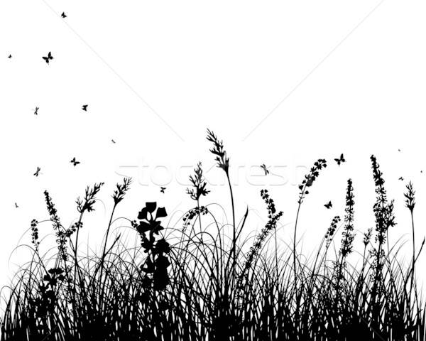 meadow silhouettes Stock photo © angelp