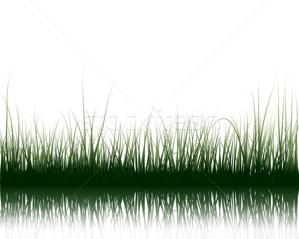 grass on water Stock photo © angelp