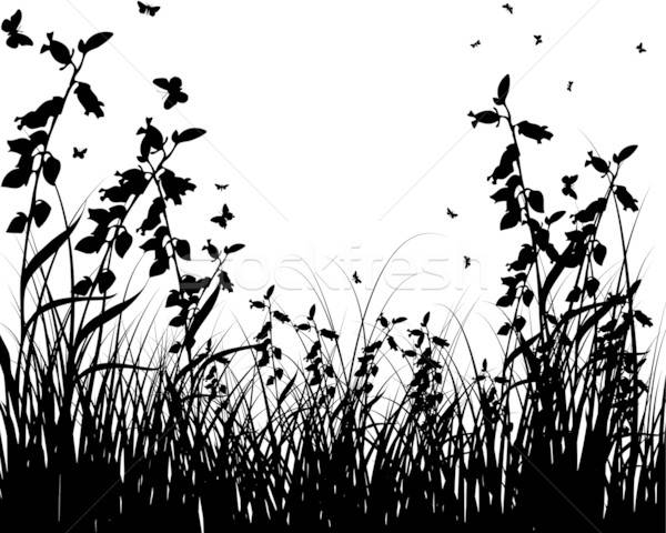 meadow silhouettes Stock photo © angelp