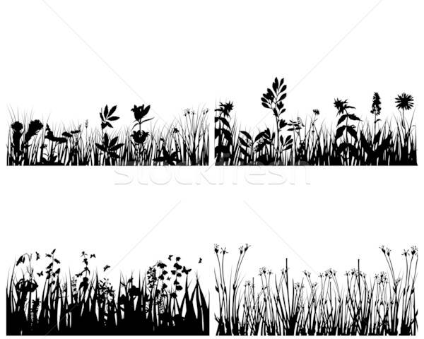 Ayarlamak çim arka dört vektör siluetleri Stok fotoğraf © angelp