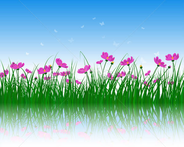Stock foto: Blume · Gras · Wasseroberfläche · Reflexion · eps · 10