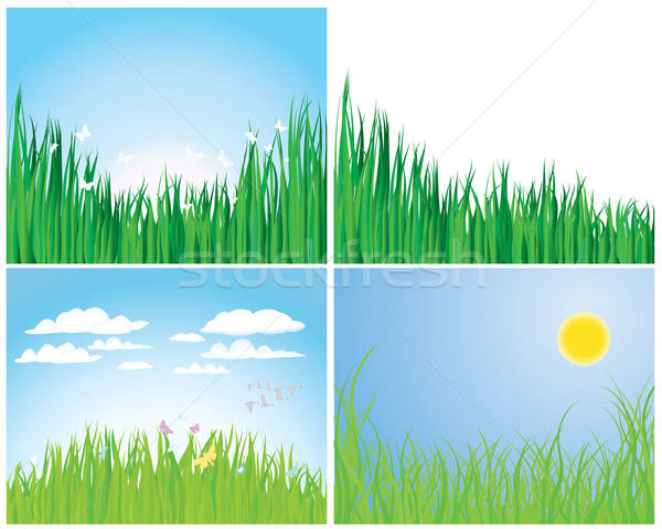 Ayarlamak çim siluetleri dört vektör arka Stok fotoğraf © angelp