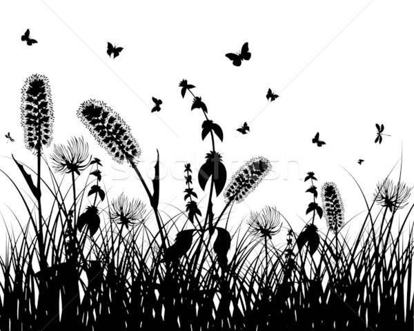 meadow silhouettes Stock photo © angelp