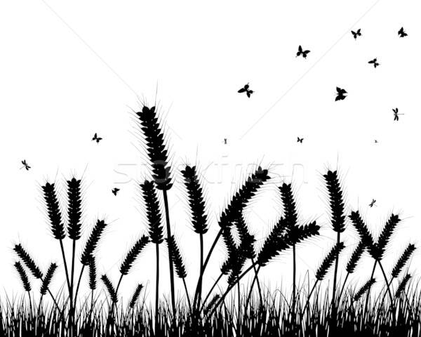 meadow silhouettes Stock photo © angelp
