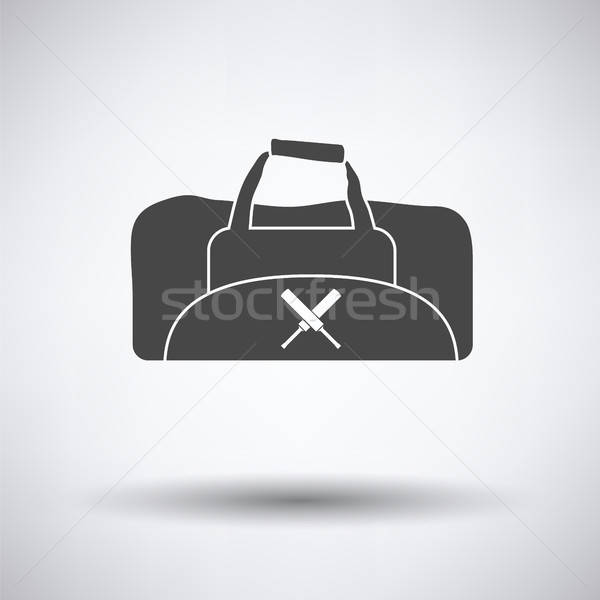 Cricket bag icon Stock photo © angelp