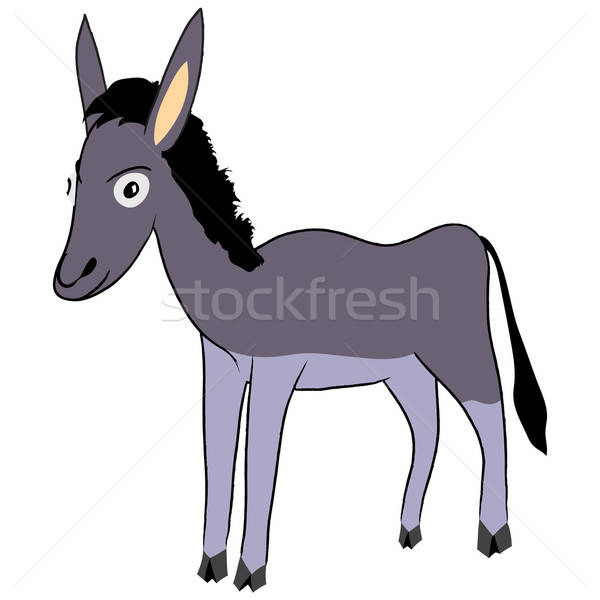 donkey Stock photo © angelp