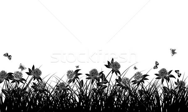 Meadow background Stock photo © angelp