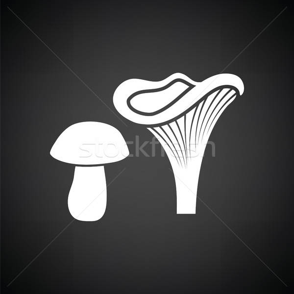 Mushroom  icon Stock photo © angelp