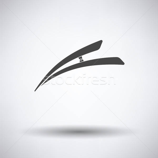 Hair clip icon Stock photo © angelp