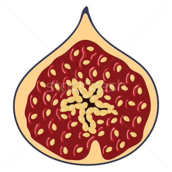 Flat design icon of Fig fruit in ui colors.  Stock photo © angelp