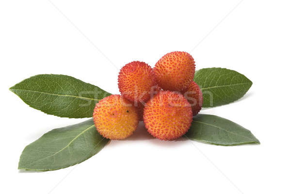 Fresche maturo frutti isolato bianco albero Foto d'archivio © angelsimon